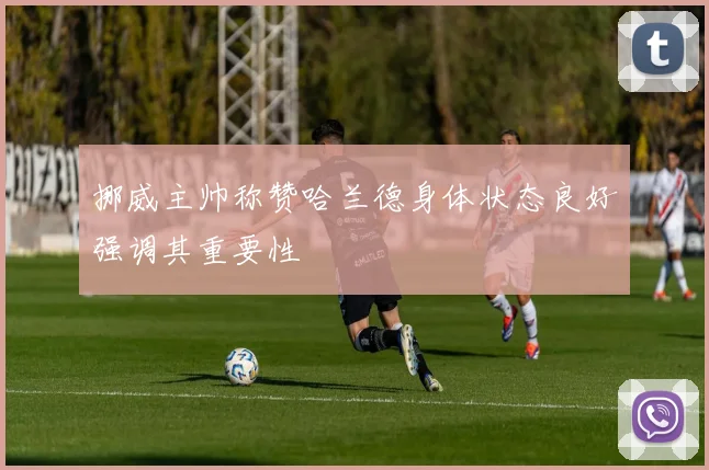 挪威主帅称赞哈兰德身体状态良好强调其重要性